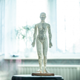 Acupuncture Models