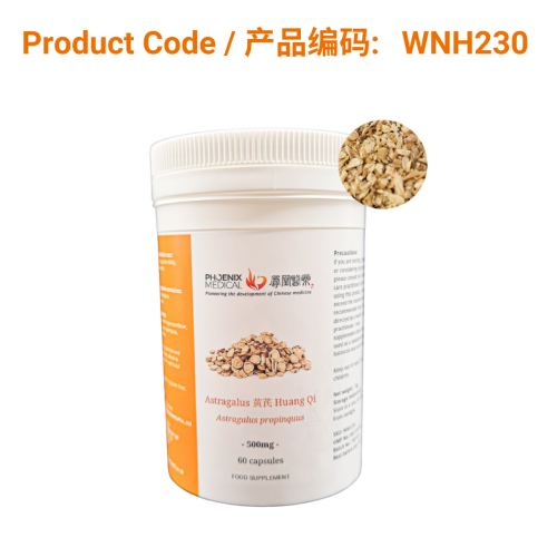 Huang Qi Capsule (60 caps) | Phoenix Medical