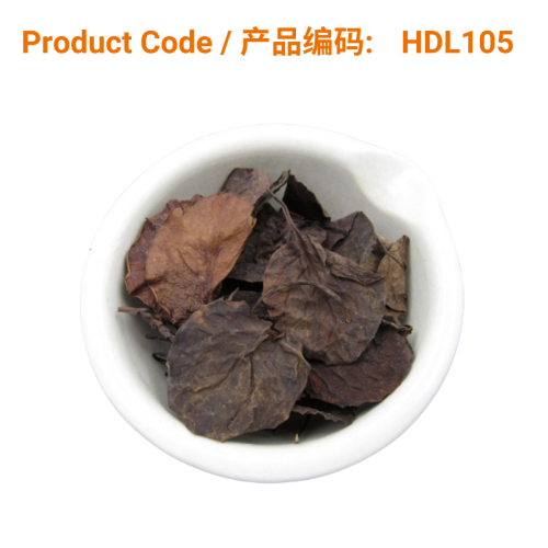 Lu Xian Cao | Phoenix Medical