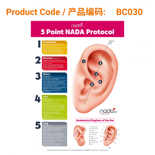 New NADA GB Five Point Protocol Poster A2 and A4 Bundle | Phoenix Medical
