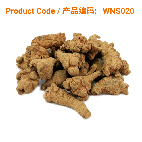 San Qi Panax NotoGinseng Capsule (60 caps) | Phoenix Medical