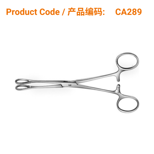 Sponge Forceps
