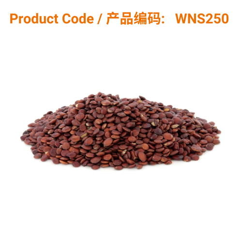 Suan Zao Ren Capsule (60 caps) | Phoenix Medical